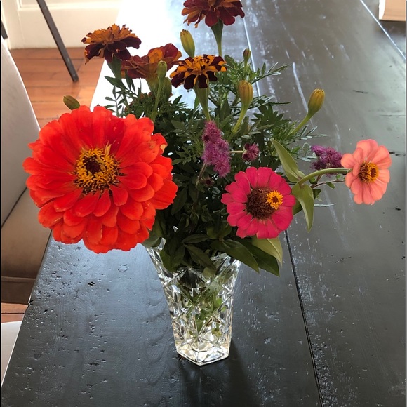 Meet your Posher, Rachel - Picture 1 of 1